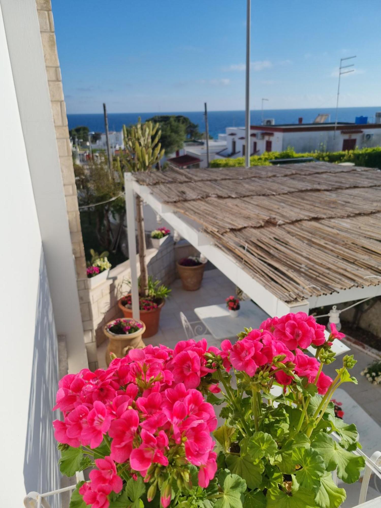 Vento D'Amare Bed & Breakfast Лепорано Екстериор снимка